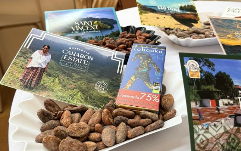 comunicado del Minex