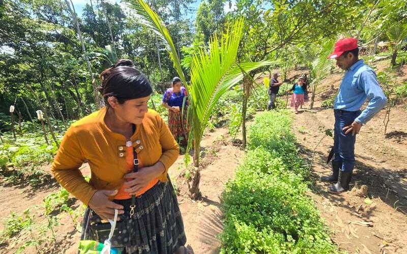 Mujeres Q’eqchi’ cultivan esperanza y alimento en Ixcán