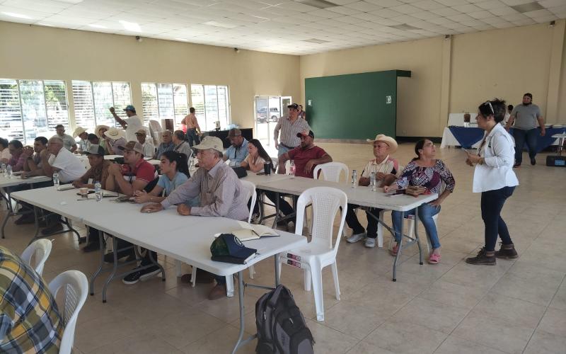 Técnicos y ganaderos de Zacapa aprenden prevención y control del Gusano Barrenador
