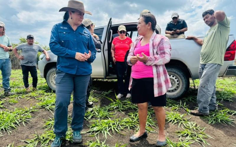 Agricultura regenerativa avanza en la restauración de tierras en Petén