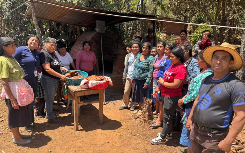 Capacitan a grupos CADER en la transformación de banano