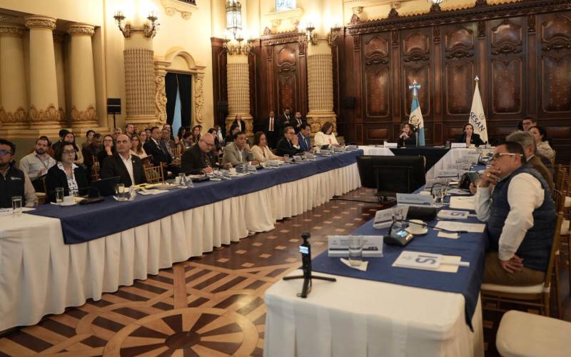 CONASAN conoce avances en atención a la desnutrición aguda y seguridad alimentaria