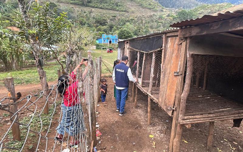 Comunidades impulsan proyectos productivos para fortalecer su desarrollo local