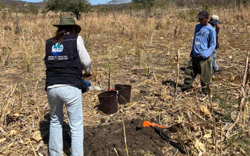 Continúa toma de muestras de suelo en Huehuetenango para elaborar mapa de fertilidad