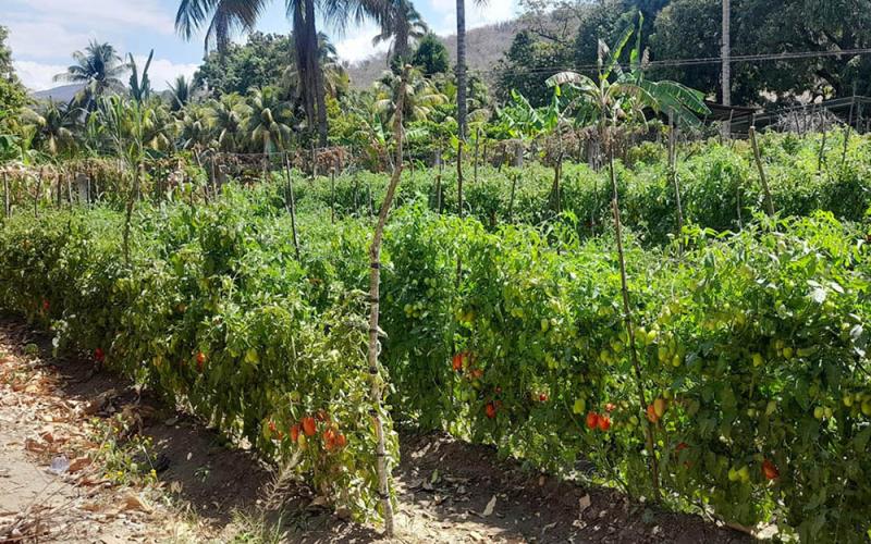 Continúan las variaciones climáticas por lo que se monitorean 192 municipios