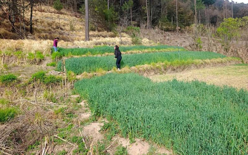 Continúan las variaciones climáticas y posible frente frío para esta semana
