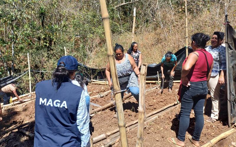 Cuando la comunidad se organiza, el alimento se multiplica