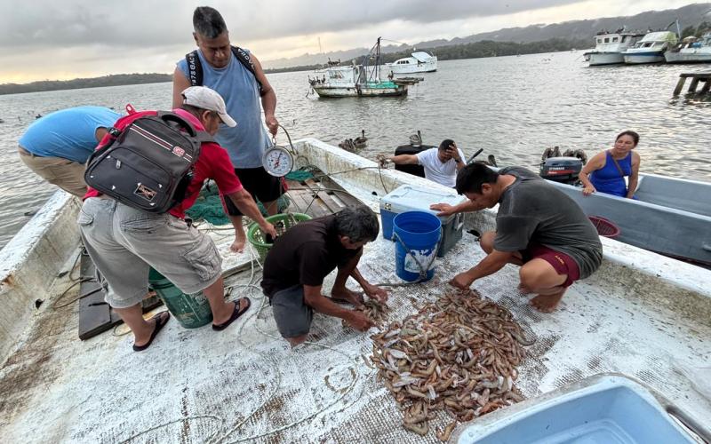 Decretan veda pesquera en el Caribe para proteger especies marinas y continentales
