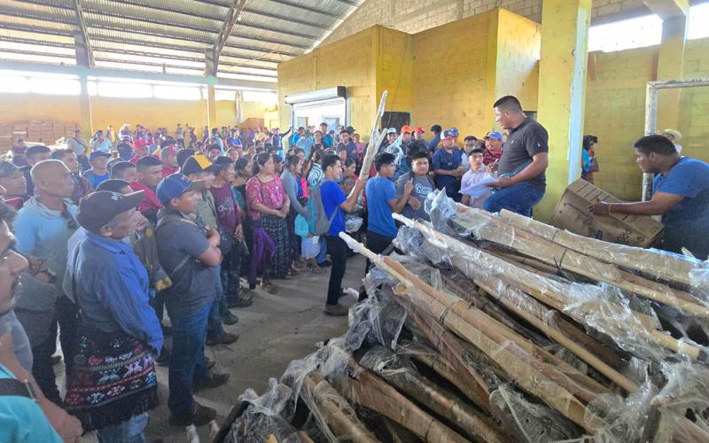 El Sistema Patio germina en las comunidades