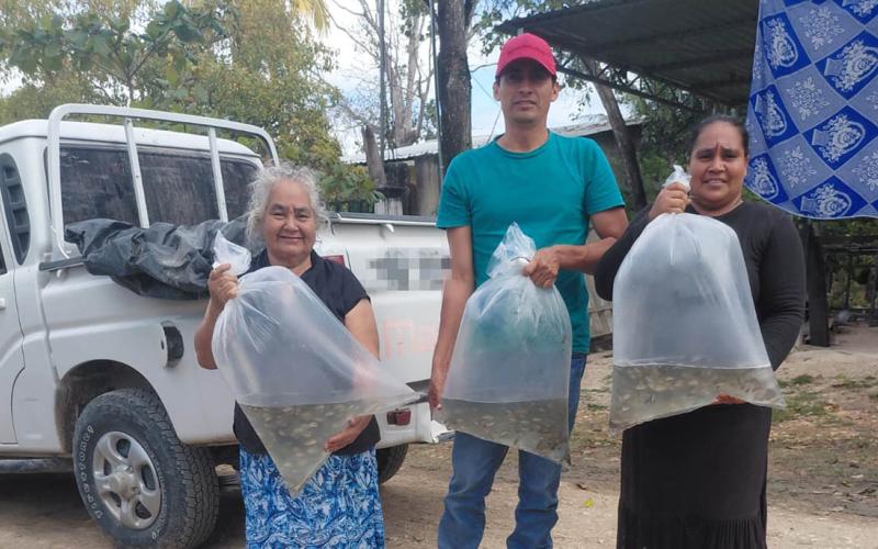 Entrega de alevines fortalece acuicultura en Petén 