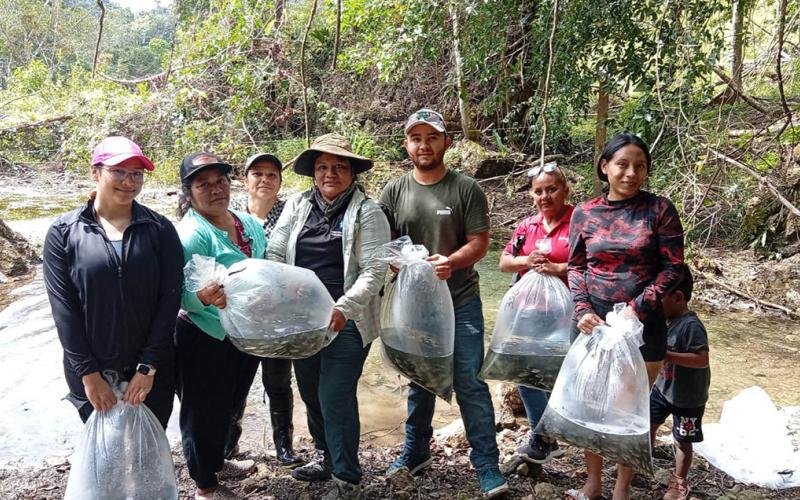 Entrega de más de 28 mil alevines fortalece seguridad alimentaria en Petén