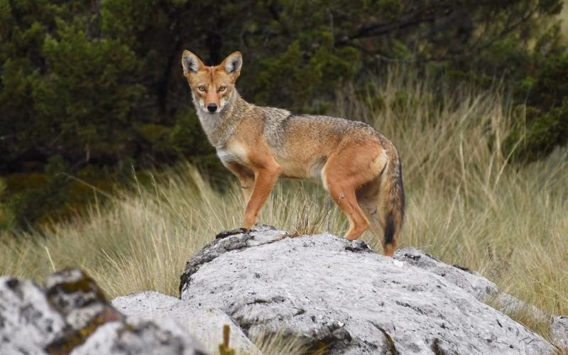 Foto de portada Esteban Matías