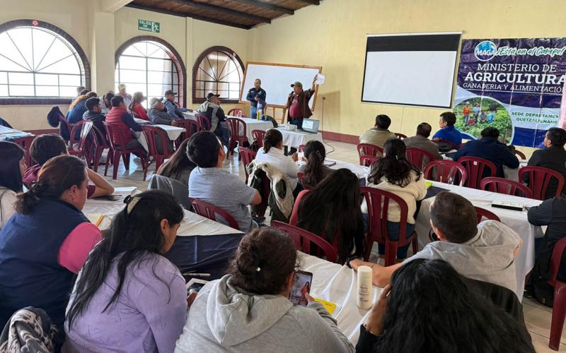 Extensionistas de Quetzaltenango capacitados en control del Gusano Barrenador