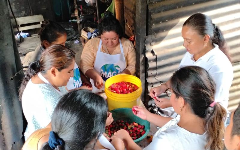 Familias de Escuintla aprenden técnicas de conservación y emprendimiento