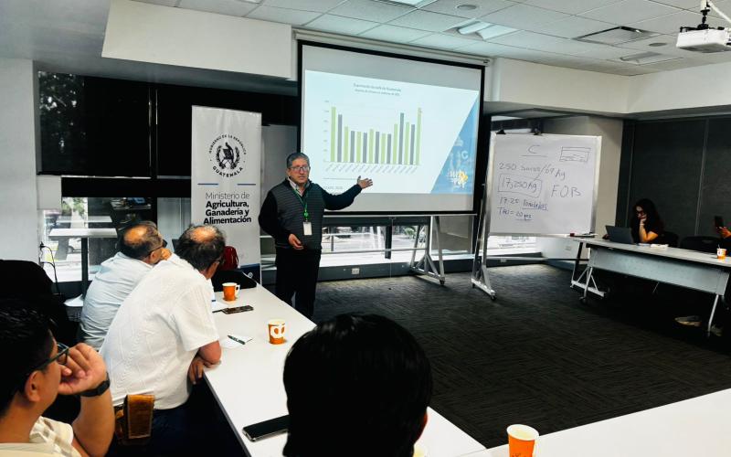 Fortalecen capacidades de pequeños caficultores previo al Coffee Trade 2026