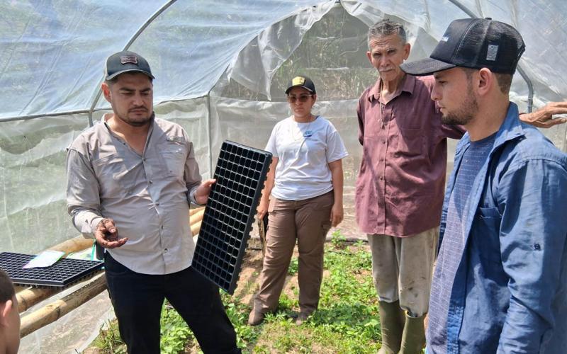Fortalecen el agro en el oriente con el uso de macrotúneles y pilones