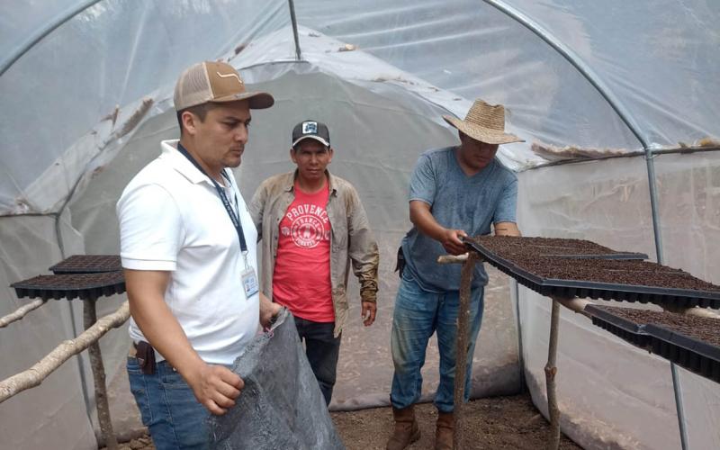 Fortalecen la agricultura familiar con producción tecnificada de hortalizas