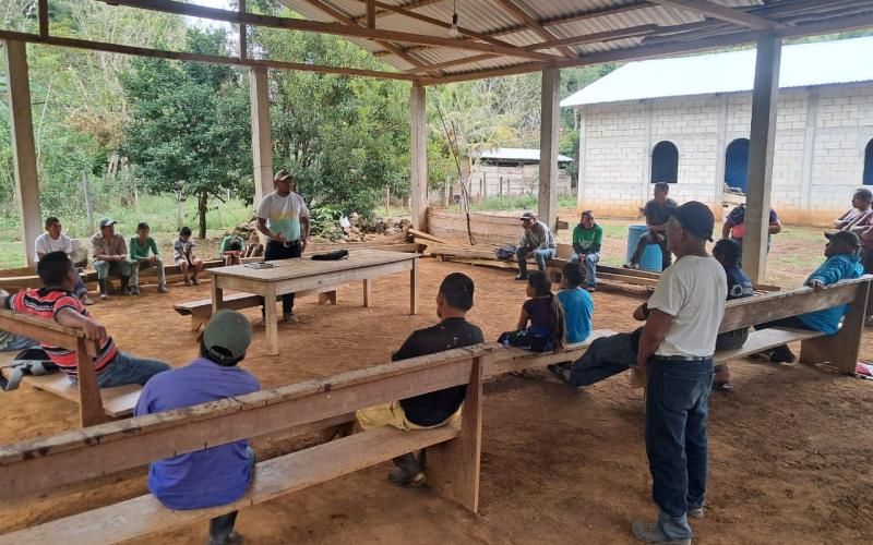 Fortalecen prácticas agroforestales para mejorar la cobertura del suelo
