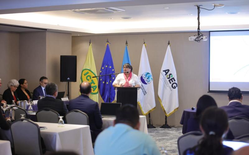 Guatemala sede de taller en el que el analizarán sistema de protección de obtenciones vegetales