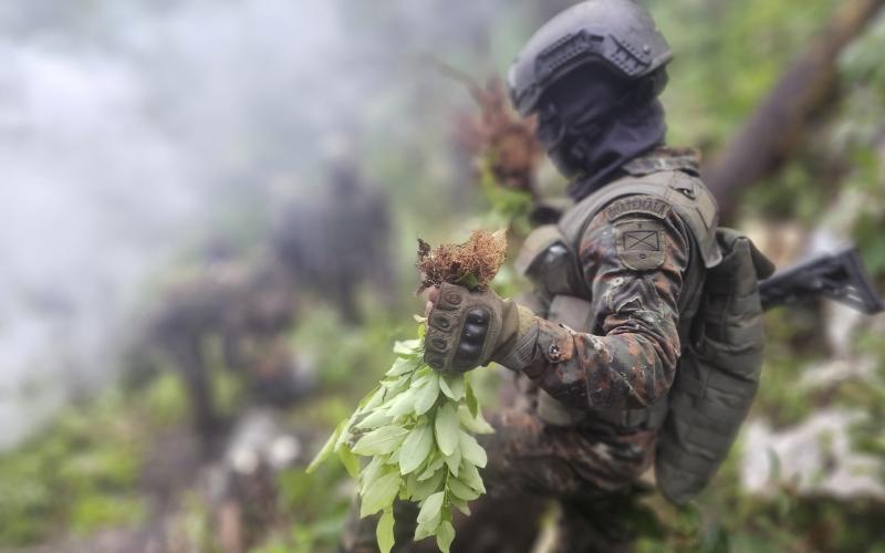 Ejército de Guatemala realiza Operaciones contra el Crimen Organizado Transnacional en San Marcos, Alta Verapaz y Petén.