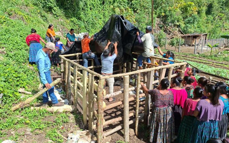 Implementan sistema de riego por goteo en Alta Verapaz