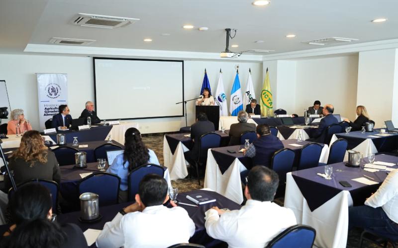 Impulsan fortalecimiento de la innovación agrícola tras misión internacional en Guatemala