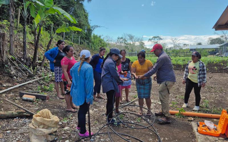Instalan sistema de captación de agua y microriego en Poptún