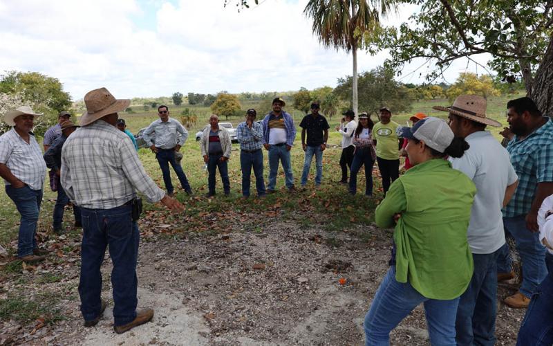 Intercambio de experiencias fortalece la ganadería en finca La Fe