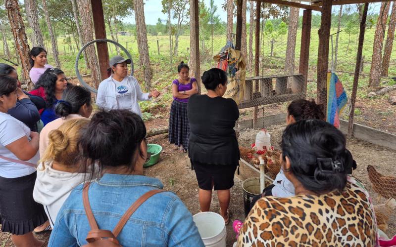 Intercambio de experiencias impulsa producción sostenible en Poptún