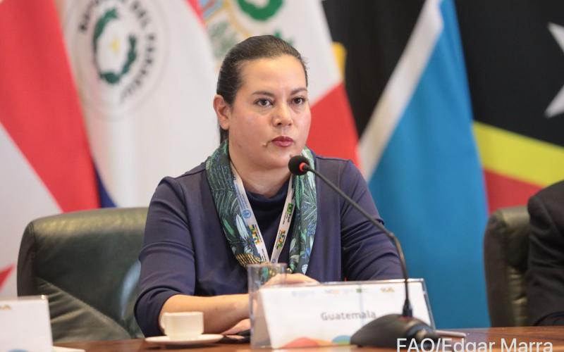 Lanzan en el Año Internacional de la Agricultora en la región de América Latina y el Caribe