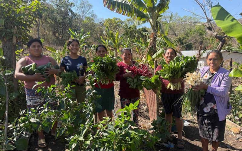 Los CADER de Chiquimula optimizan la economía local con venta de hortalizas