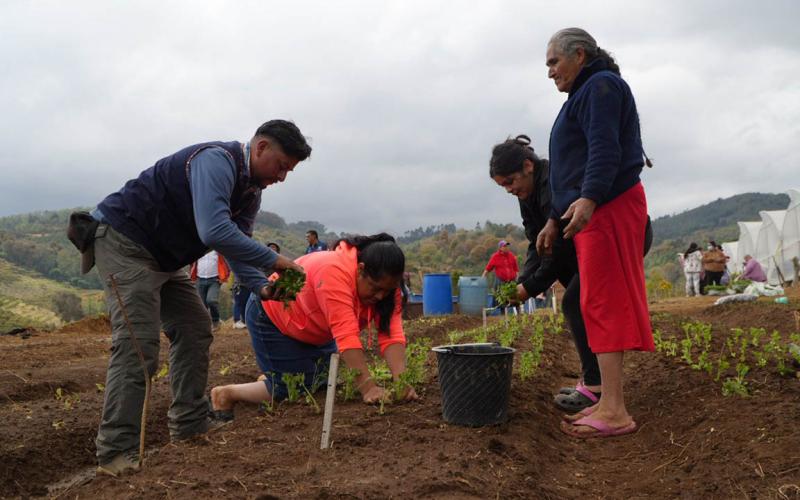 Mujeres de Zaragoza transforman su realidad gracias al huerto comunitario