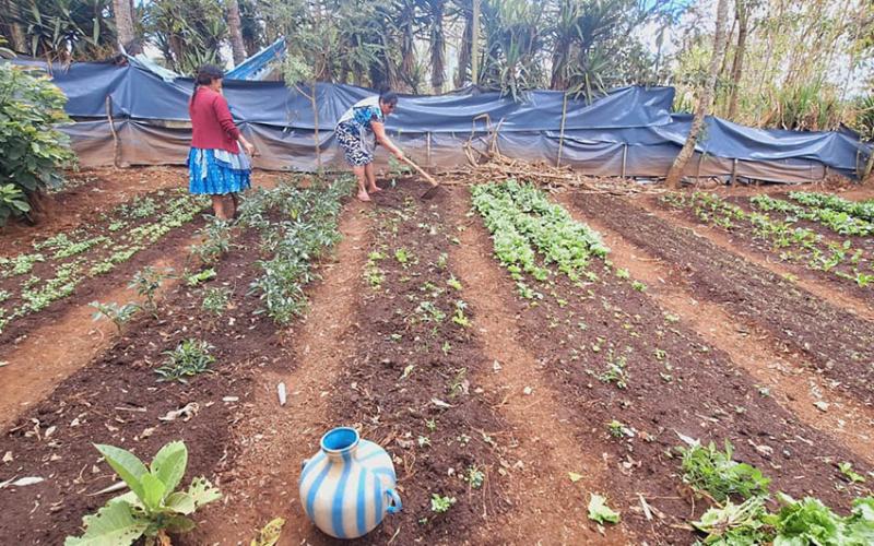 Prevén una semana lluviosa y de altas temperaturas