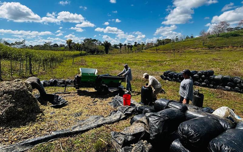 Productor transforma su finca gracias al modelo de ganadería sostenible