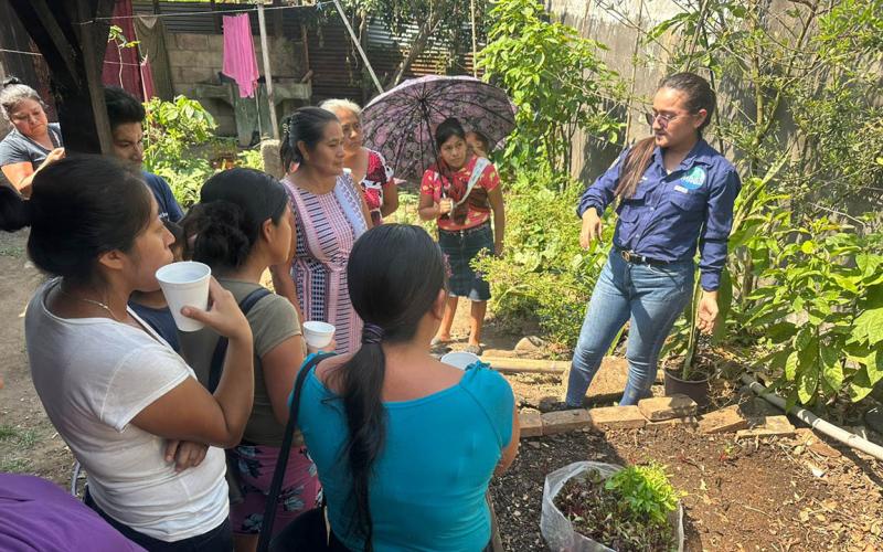 Productores altenses tecnifican siembras con plántulas de alta calidad