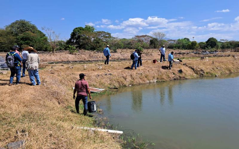 Productores de zacapanecos intercambian experiencias en acuicultura en la Costa Sur