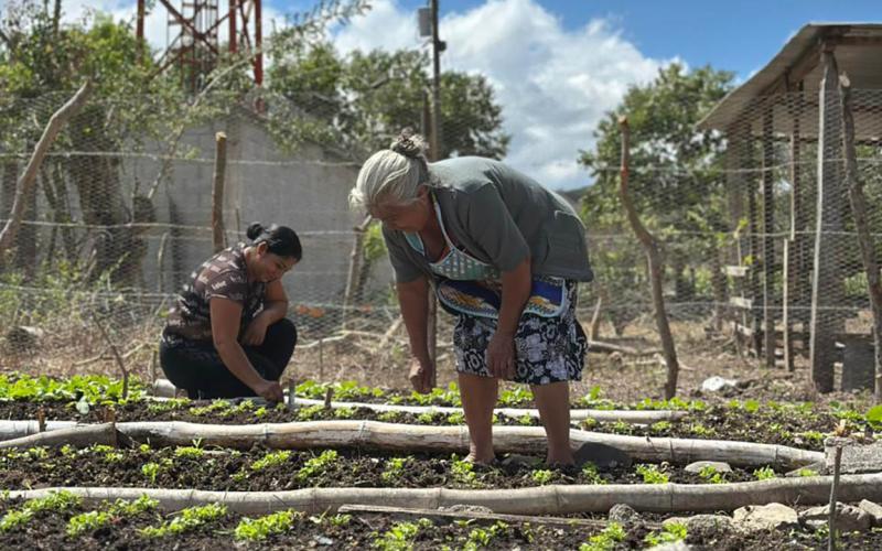 Promueven producción de hortalizas con huerto comunitario
