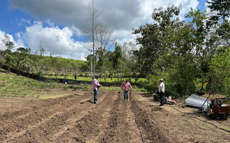 Recomendaciones ante riesgos agroclimáticos