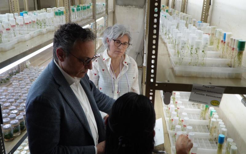 Resaltan el trabajo del ICTA y la protección de semillas para fortalecer el agro