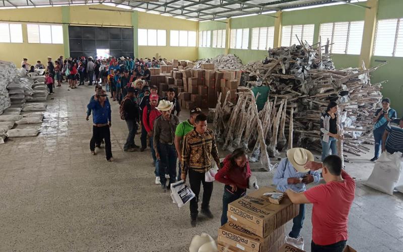 Sembrar en casa para alimentar a la familia