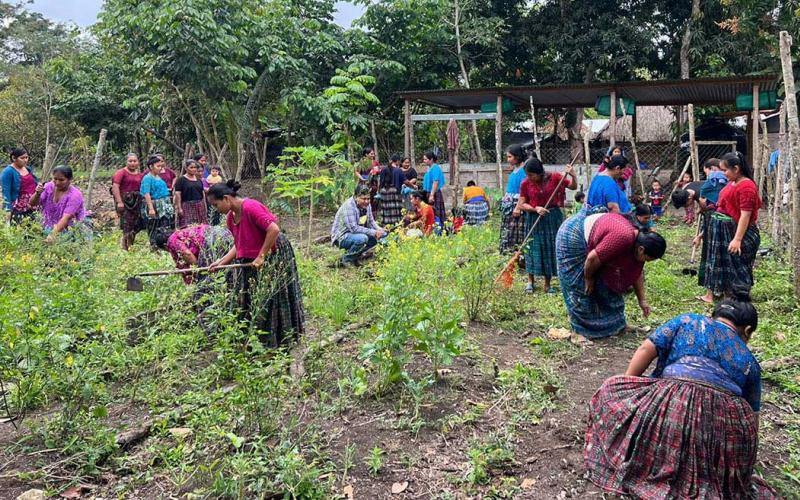 Siembra de hortalizas fortalece huerto comunal en Cruce Semuy 