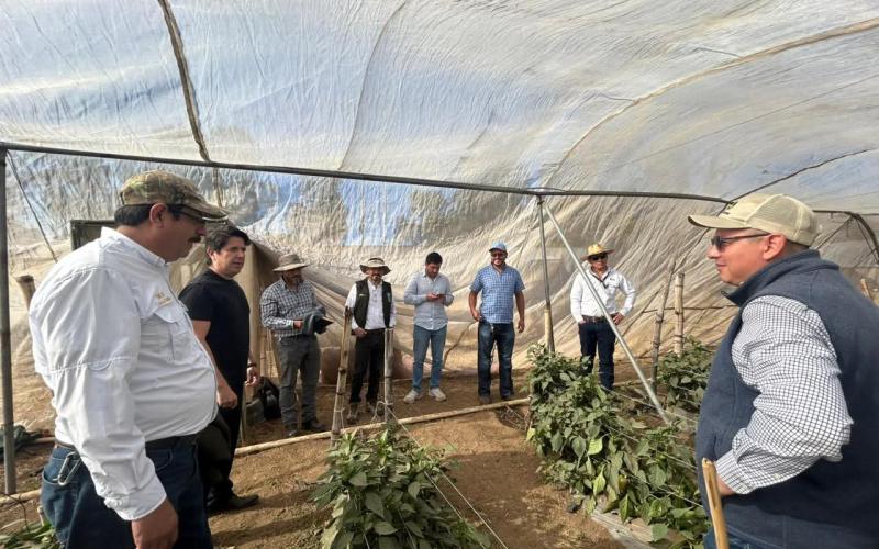 Supervisión de campo fortalece formación técnica agrícola en la ENCA