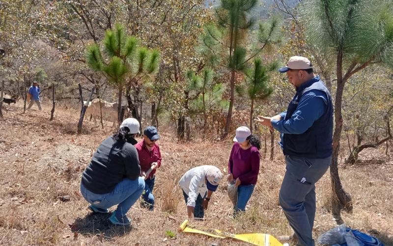 Toman muestras de suelo en Huehuetenango para fortalecer el mapa de fertilidad