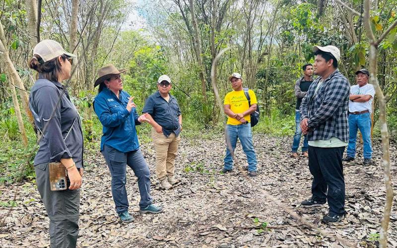 Verifican avances en áreas de restauración en La Palotada