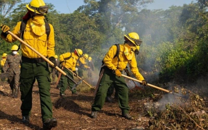 III Simulacro Nacional de Incendios Forestales fortalece la respuesta interinstitucional en Petén