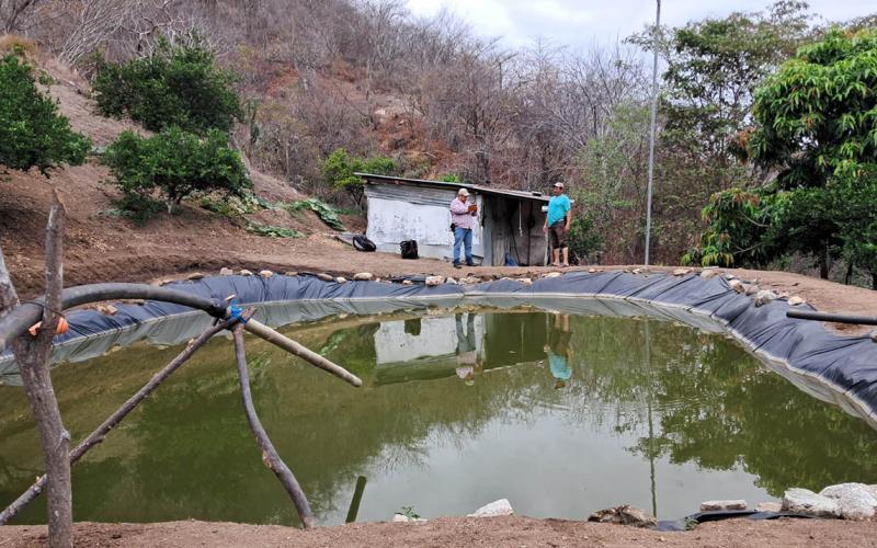 Asistencia técnica impulsa producción piscícola en Cabañas