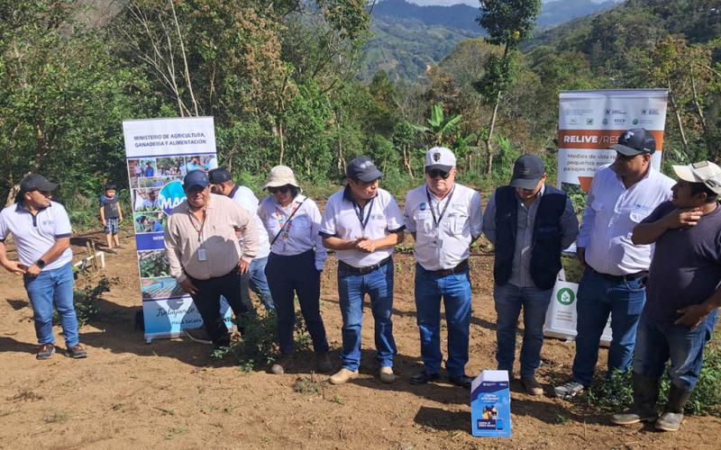 Supervisan avances en seguridad alimentaria y diversificación de cultivos