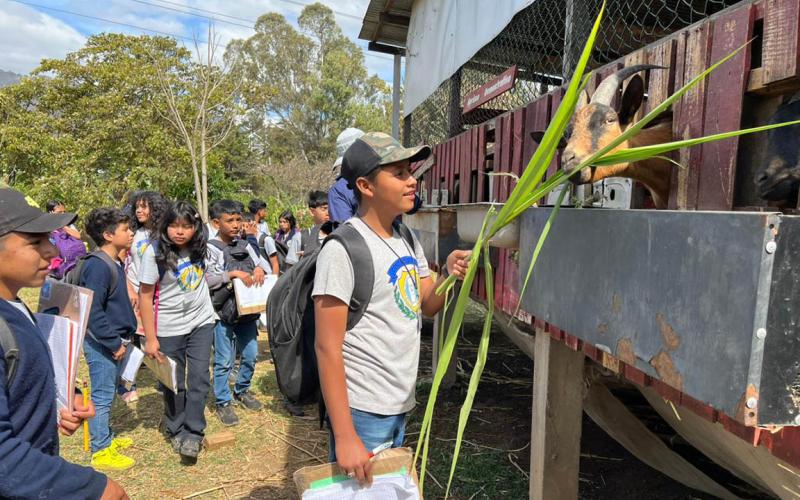 La experiencia que conecta a los estudiantes con la producción de alimentos