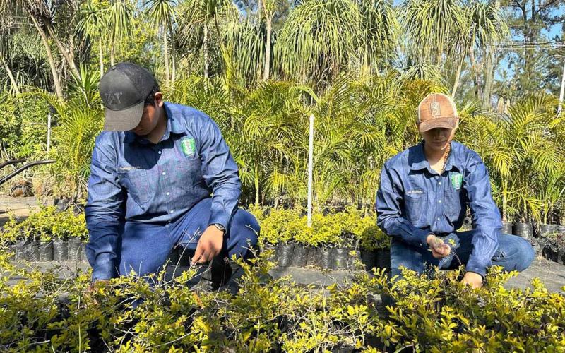 Impulsan competencias agrícolas en futuros peritos con el lema "Aprender Haciendo"