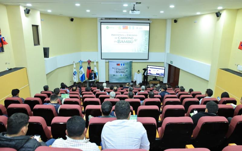 Lanzan iniciativa de créditos de carbono en bambú